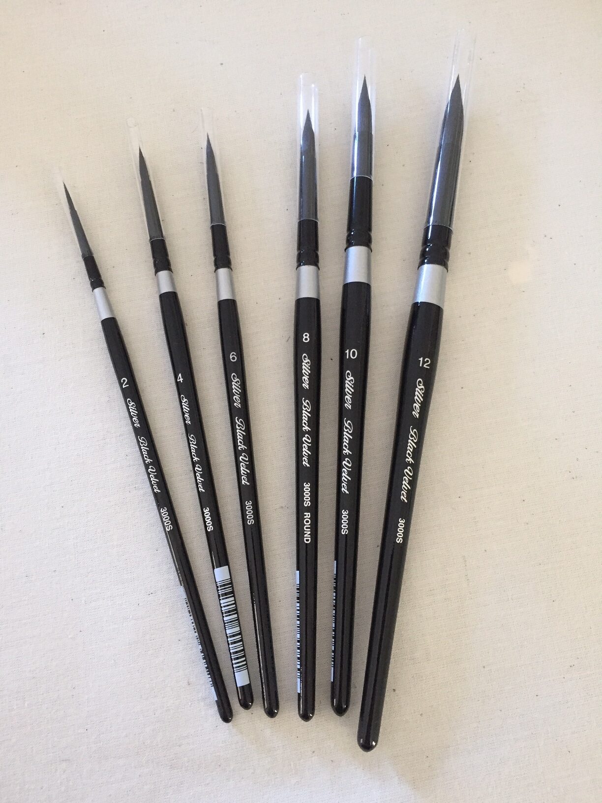 Set of black paintbrushes with silver ferrules on a white background