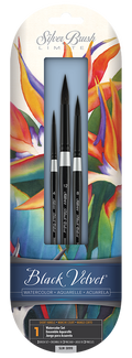 Set of silk painting watercolor brushes in a colorful packaging with 'Silver Brush' branding.