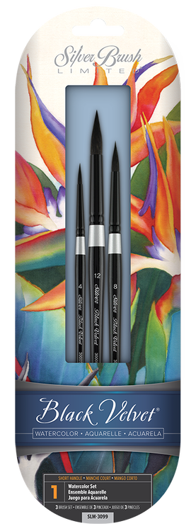 Set of silk painting watercolor brushes in a colorful packaging with 'Silver Brush' branding.